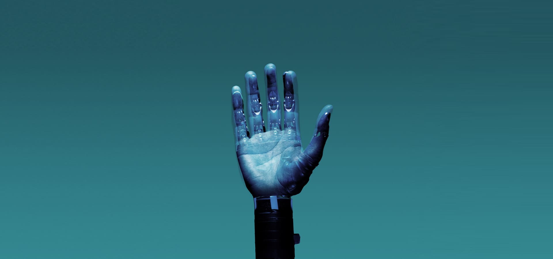 branding & designing agency in Malappuram, Kerala